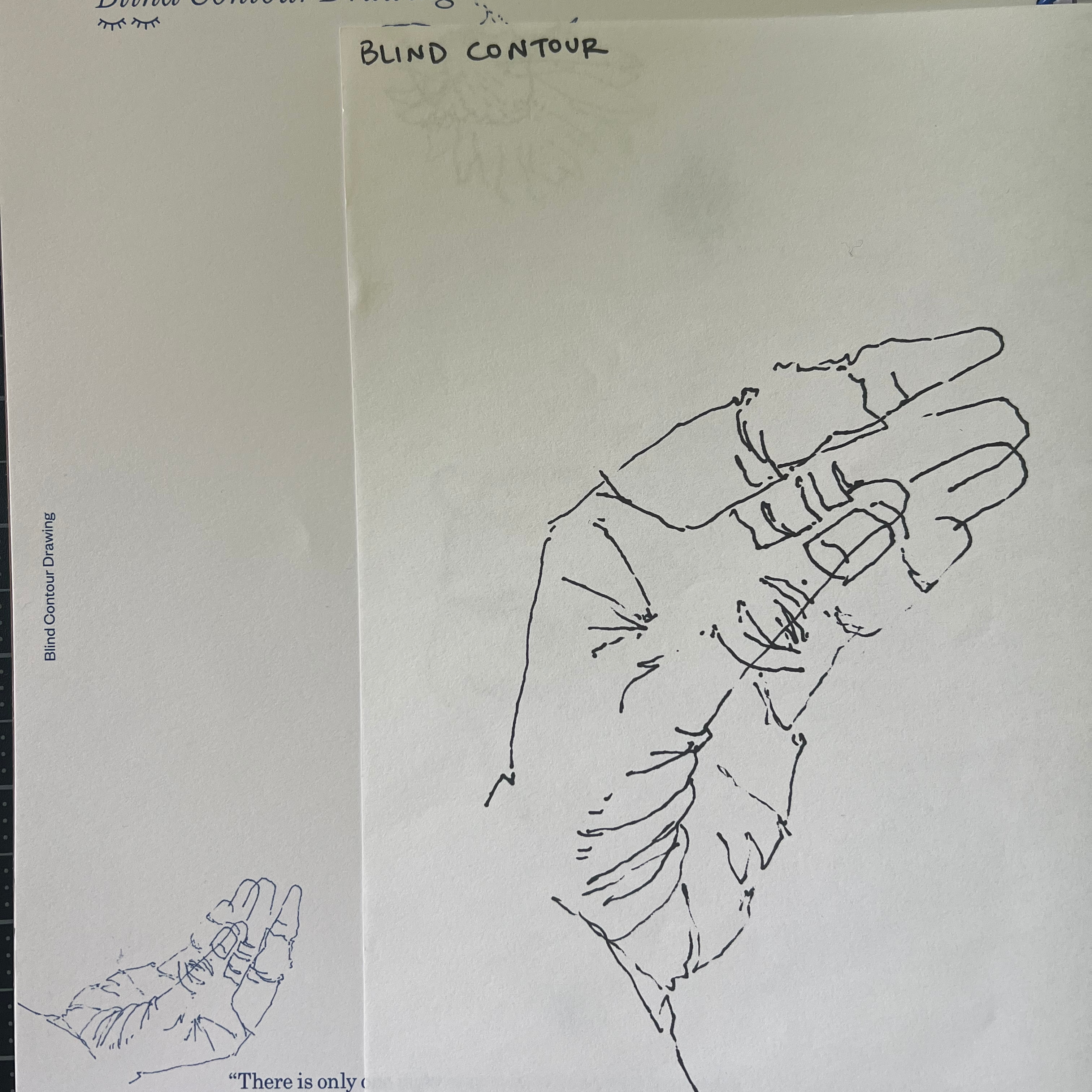 Blind Contour Drawing 101: How it came to be, and how to do it!
