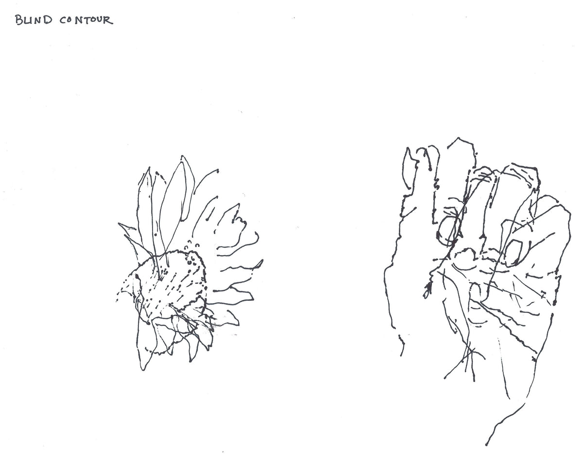 Blind Contour Drawing Art Life Practice 3733